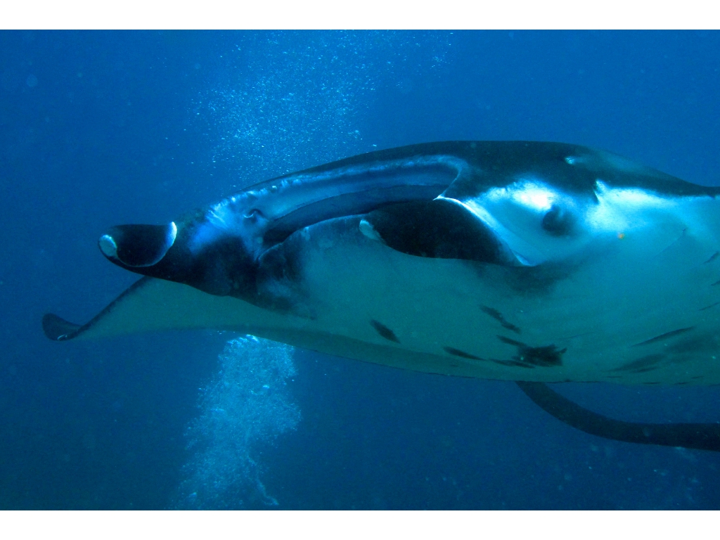 IMG_6886 - Version 3 IMG_6886 - Version 3